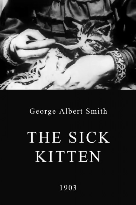 The Sick Kitten Poster